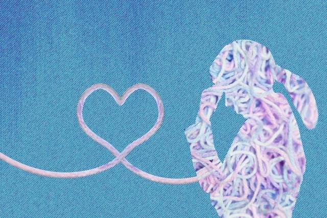 【あなたの行動、見られてますよ】〜川崎の結婚相談所Fiange〜